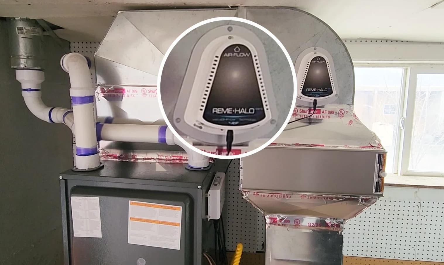 UV Lights & REME HALO