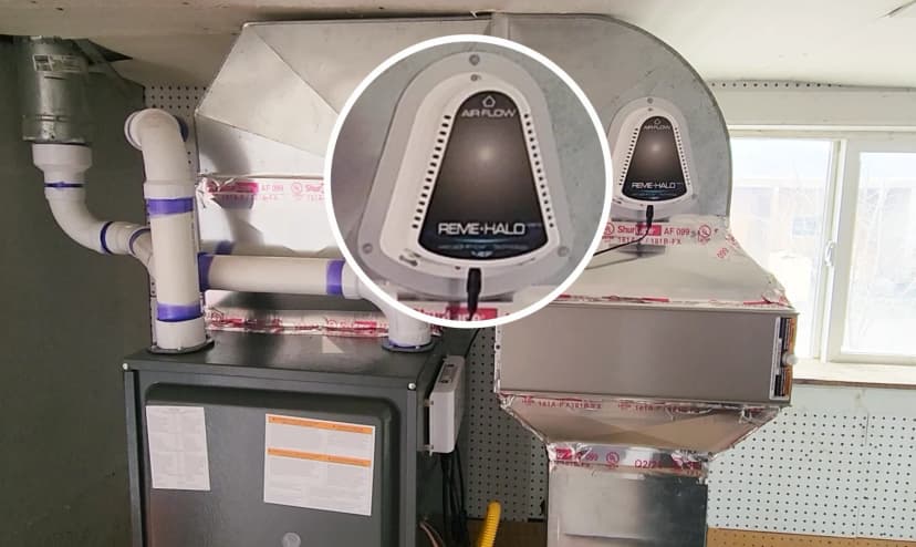 UV Lights & REME HALO