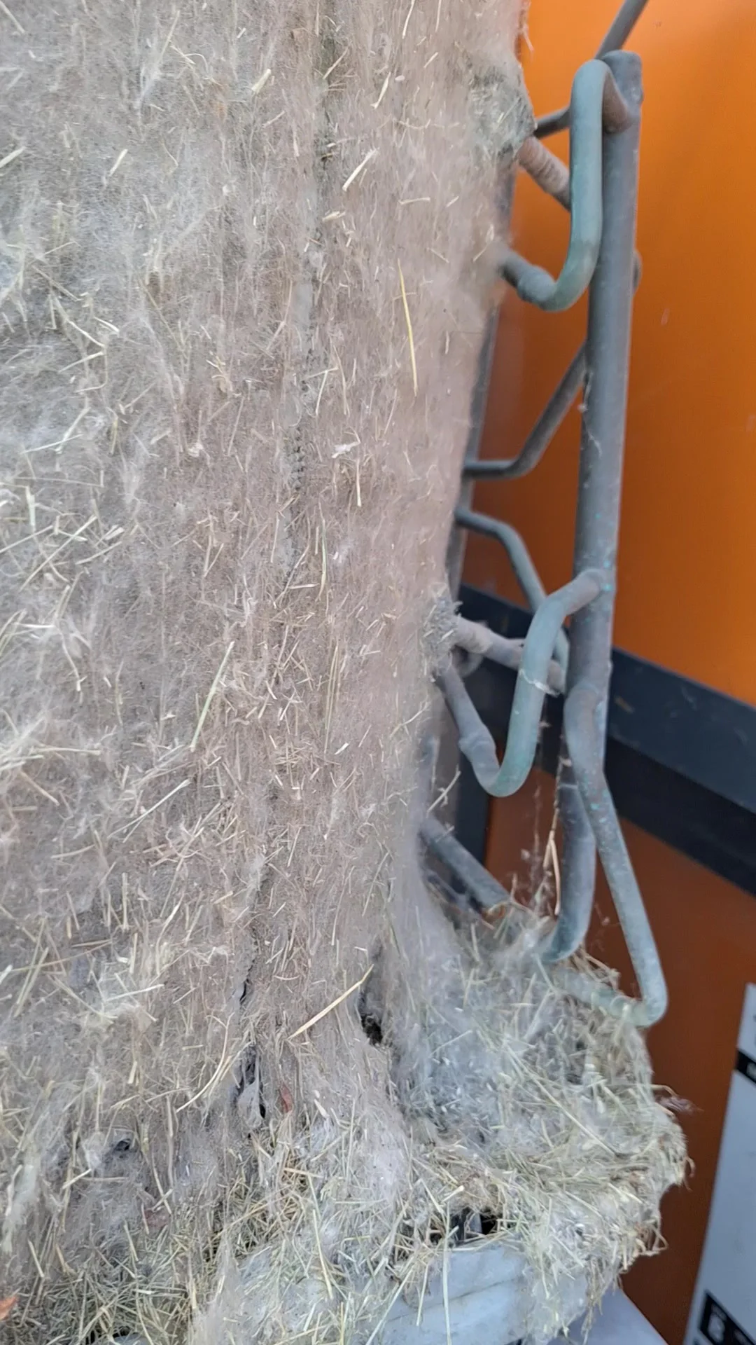 Cottonwood Fluff and Your Utah AC: The Hidden Spring Killer of Air Conditioner Efficiency